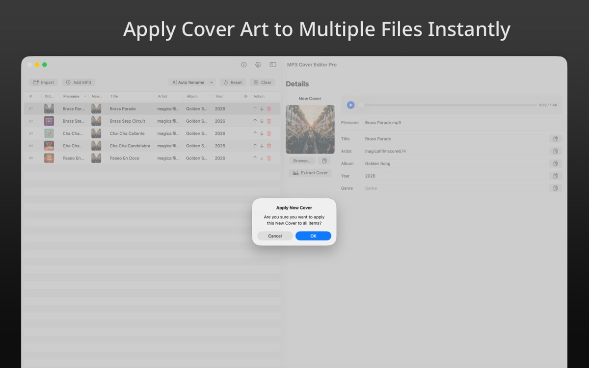 MP3 Cover Editor Pro editing screen